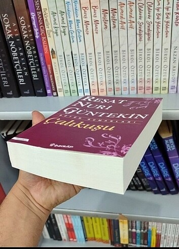 Beden Çalıkuşu