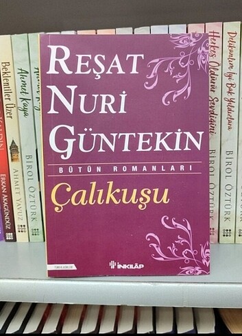 Çalıkuşu