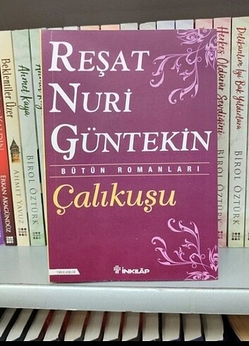 Çalikusu
