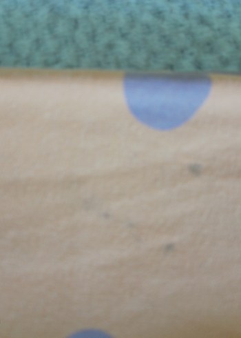 Bebek Kız  Uzun Kollu Takım - Görsel 6