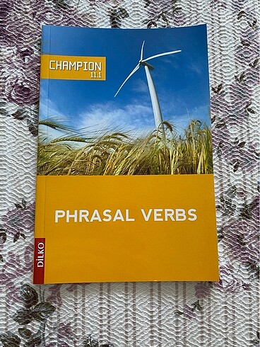 dilko phrasal verbs
