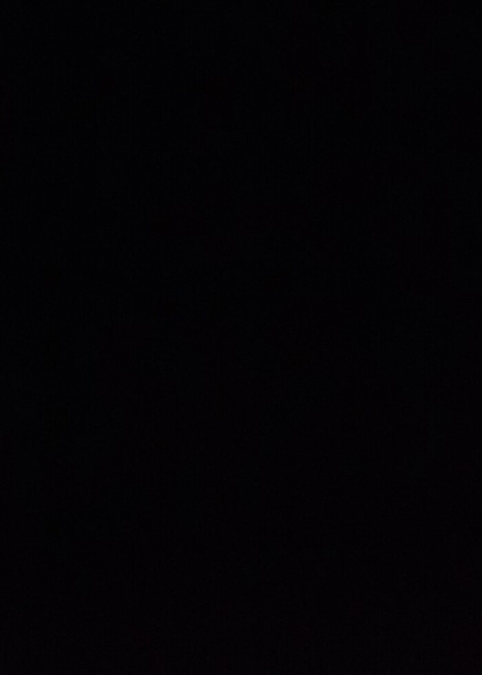 Göğüs kalkanı  - Görsel 5