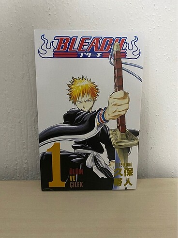 Bleach 1. cilt