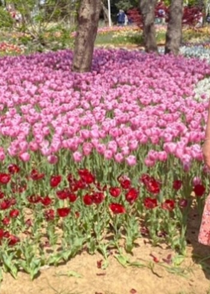 çiçekli elbise - Görsel 2