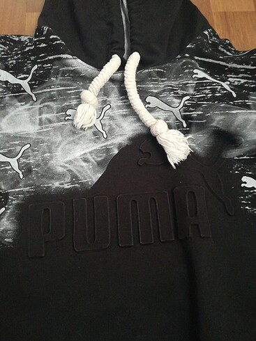 Puma puma swit