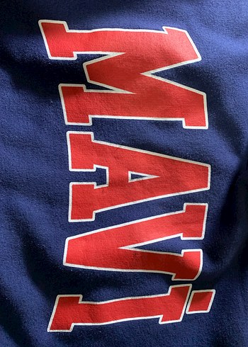 Kapüşonlu Mavi Kadın Sweatshirt - Görsel 5