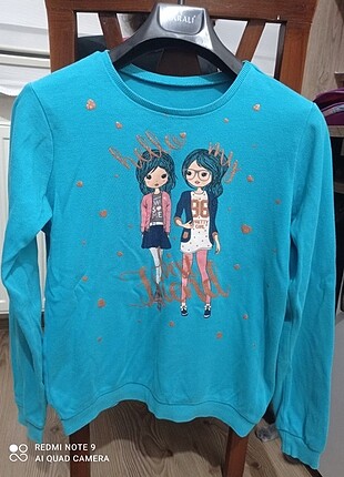 Sweatshirt