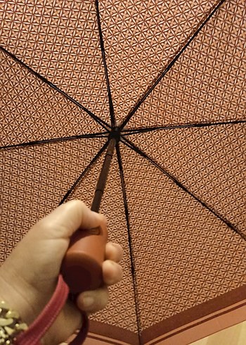 Bohem Kahverengi Kadın Şemsiye 8 tel otomatik ı - Görsel 2