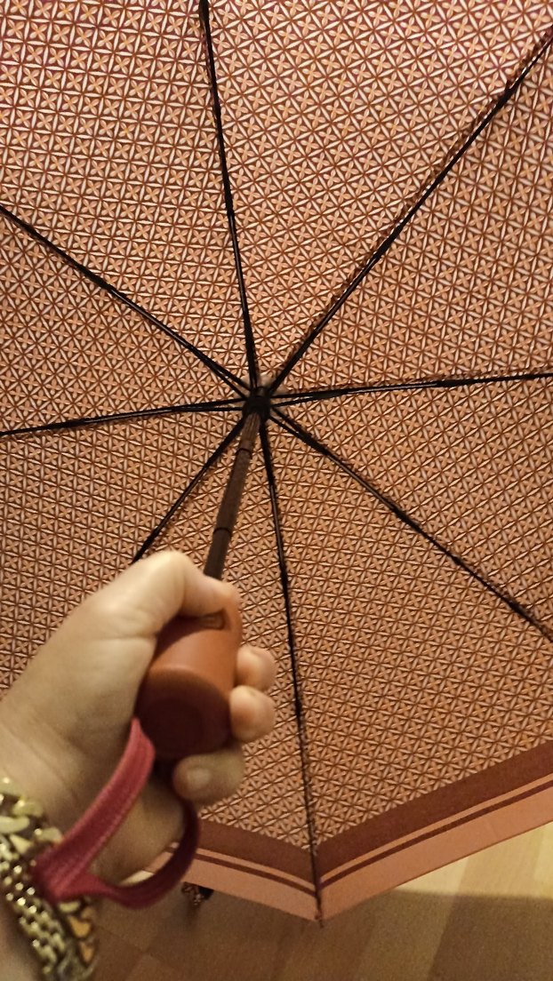 Bohem Kahverengi Kadın Şemsiye 8 tel otomatik ı - Görsel 2