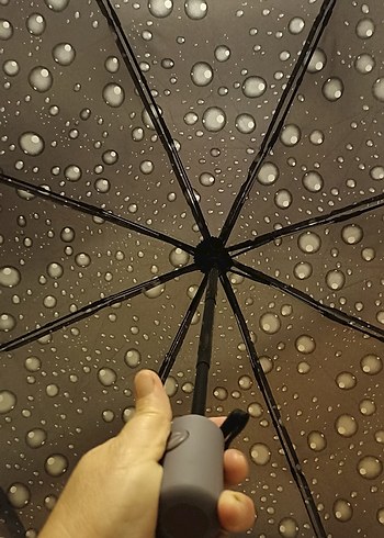 Şeffaf Gri Kadın Şemsiye - Görsel 2