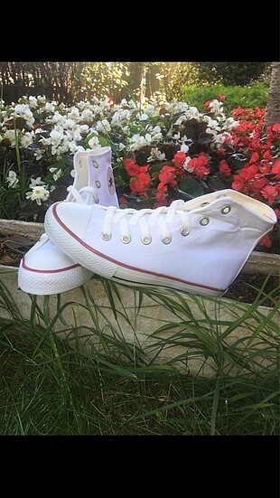 37 numara Converse