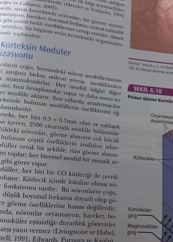  Fizyolojik psikoloji