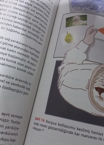  fizyolojik psikoloji