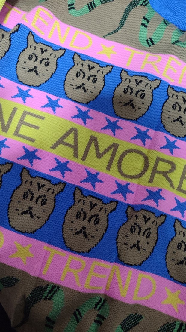 Pastel Renkli Örgü Desenli Sokak Stili Kedi Kıyafeti - Görsel 3