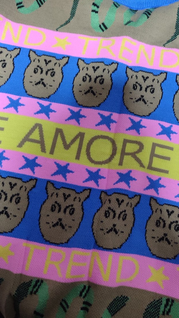 Pastel Renkli Örgü Desenli Sokak Stili Kedi Kıyafeti - Görsel 4