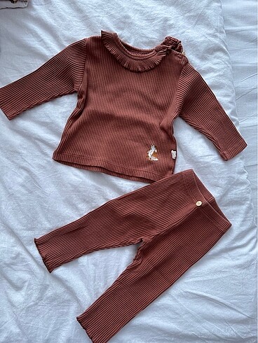 Takım bebek
