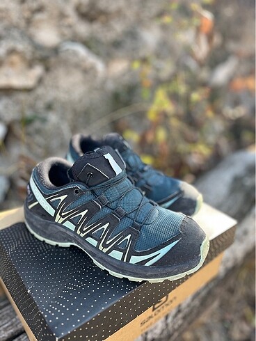 Salomon Salomon bot