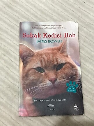 SOKAK KEDİSİ BOB KİTAP ORİJİNAL