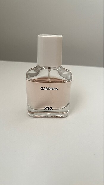 Zara Gardenia
