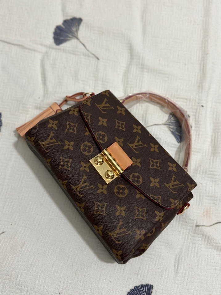 Louis Vuitton Monogram Mini Çanta — görsel 11/14