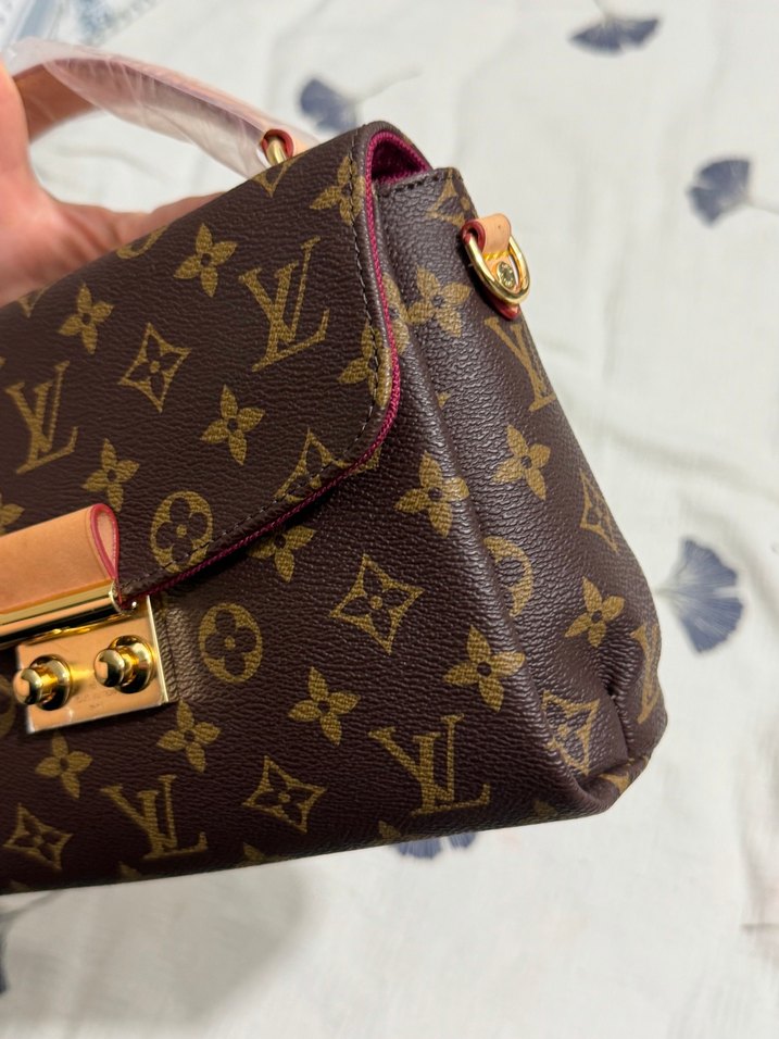 Louis Vuitton Monogram Mini Çanta — görsel 5/14