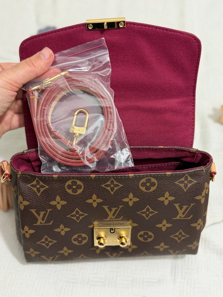 Louis Vuitton Monogram Mini Çanta — görsel 8/14