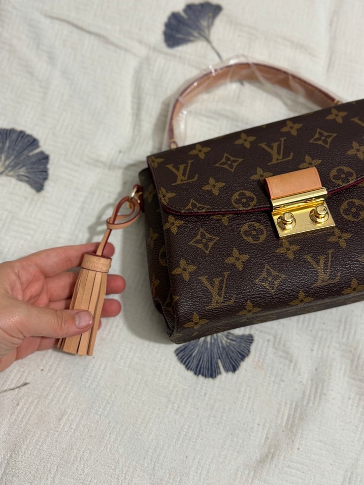 Louis Vuitton Monogram Mini Çanta — görsel 13/14