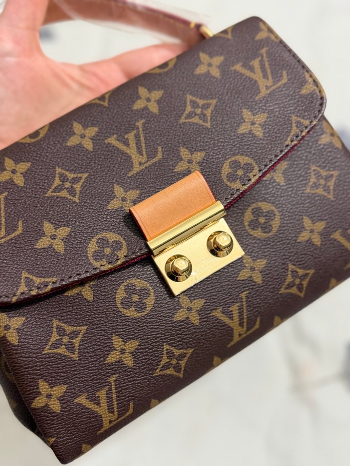 Louis Vuitton Monogram Mini Çanta — görsel 3/14