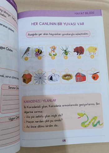 Beden 2. Sınıf Kazanım Sıralı Etkinlikler Kitabı