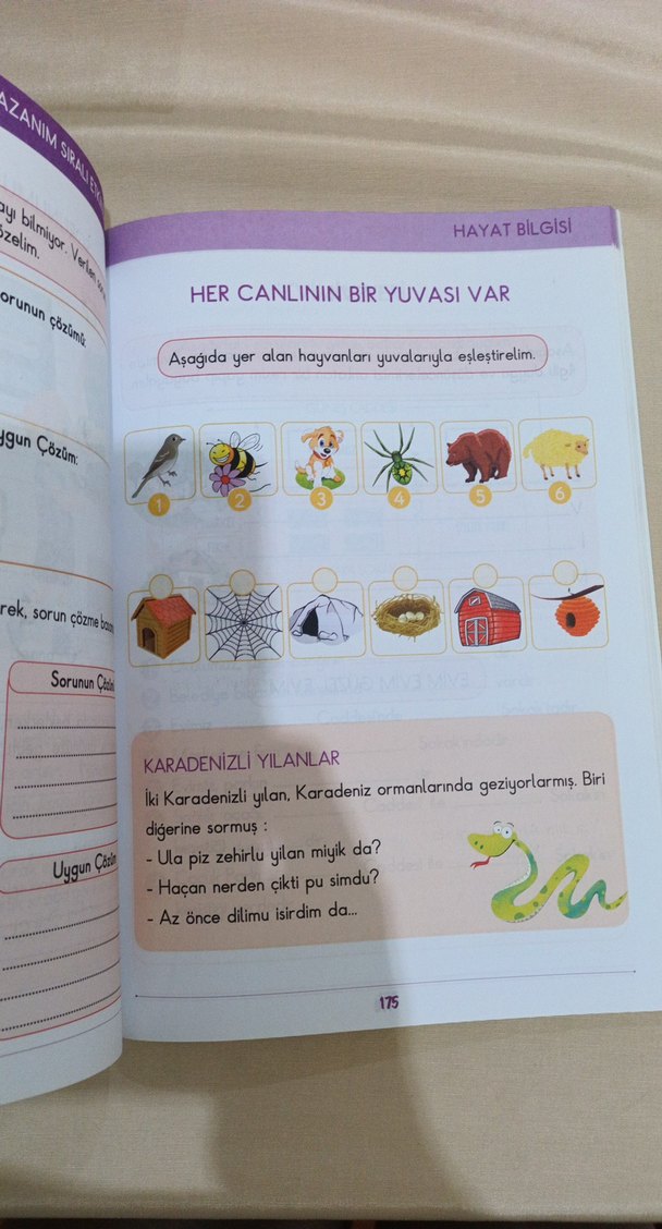 2. Sınıf Kazanım Sıralı Etkinlikler Kitabı - Görsel 3