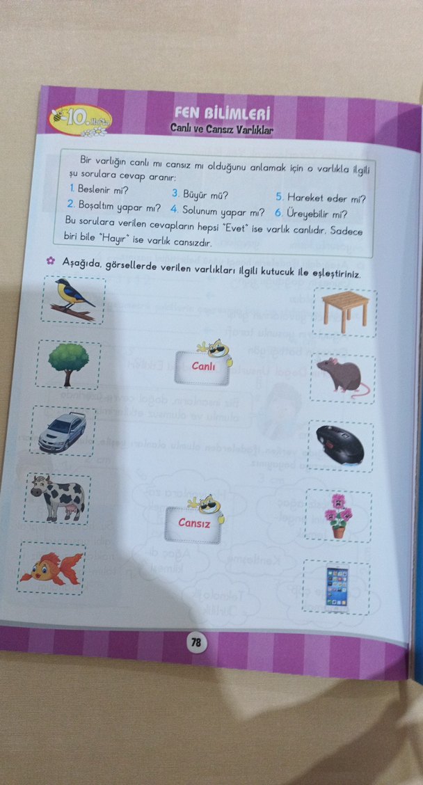 Çalışkan Arı Bilgi Kovanı 3. Sınıf Tekrar Kitabı - Görsel 4