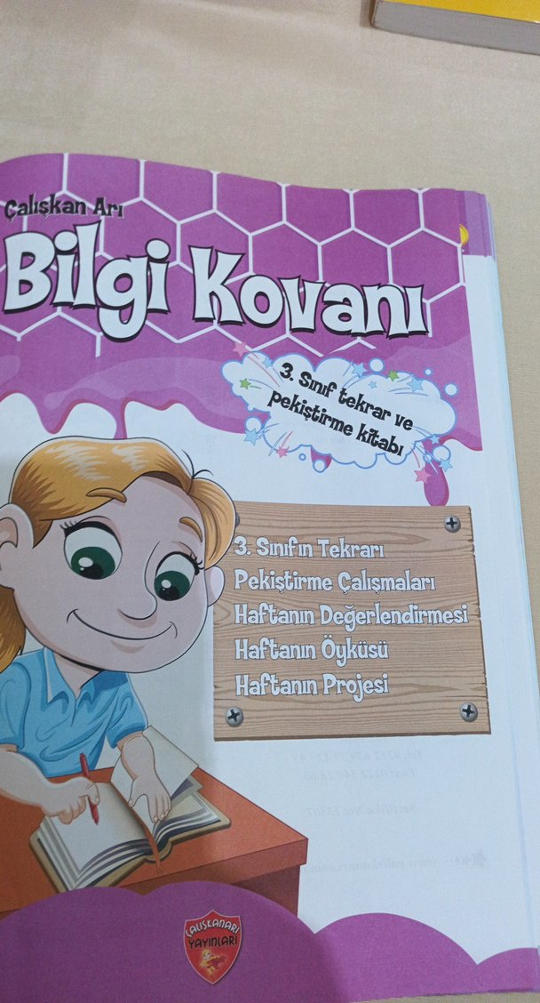 Çalışkan Arı Bilgi Kovanı 3. Sınıf Tekrar Kitabı - Görsel 2