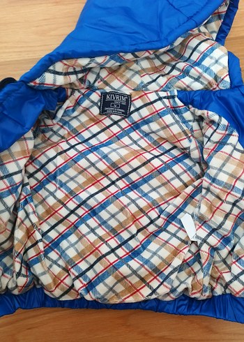 Erkek Çocuk Renkli Kapüşonlu Fermuarlı Mont - Görsel 2