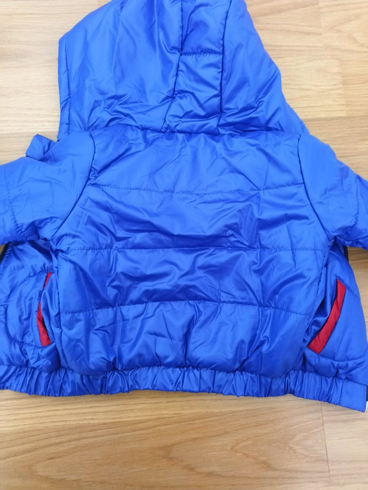 Erkek Çocuk Renkli Kapüşonlu Fermuarlı Mont - Görsel 4