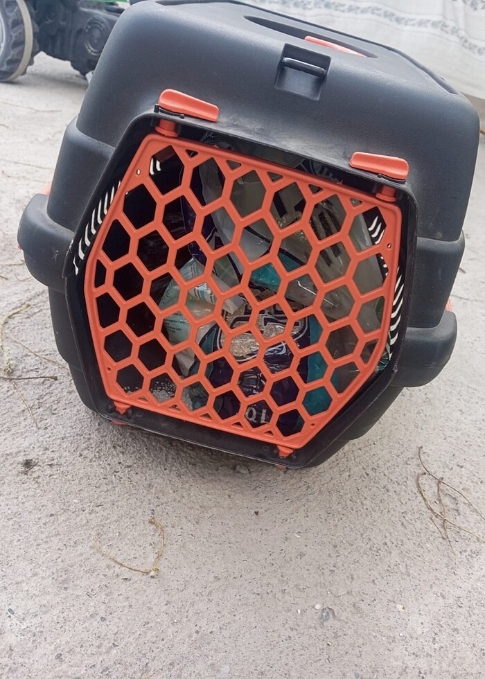 Kedi tavşan kafesi - Görsel 2