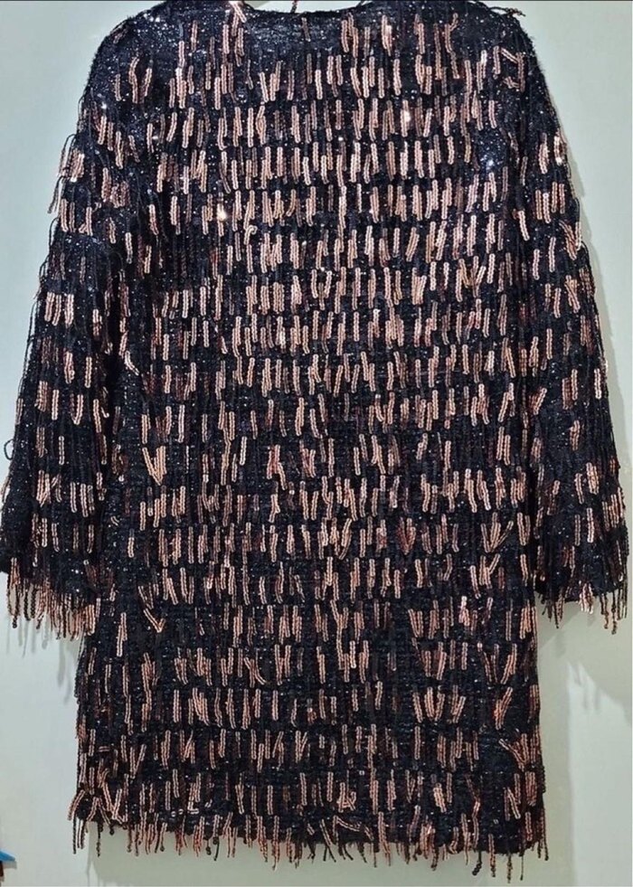 Payetli Siyah V Yaka Uzun Kollu Elbise - Görsel 5