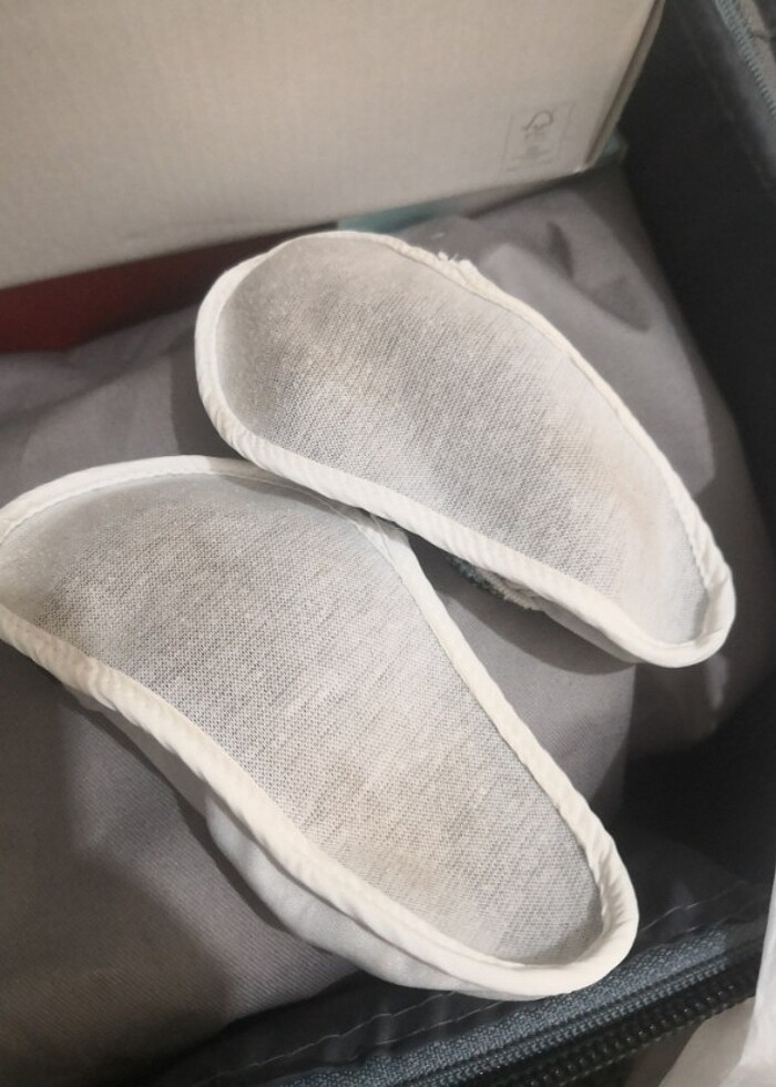 Deniz terliği  - Görsel 3