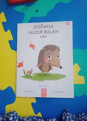 Doğada Huzur bulan kirpi
