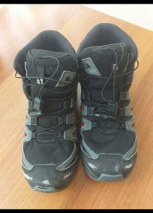 35 Beden Saloman bot