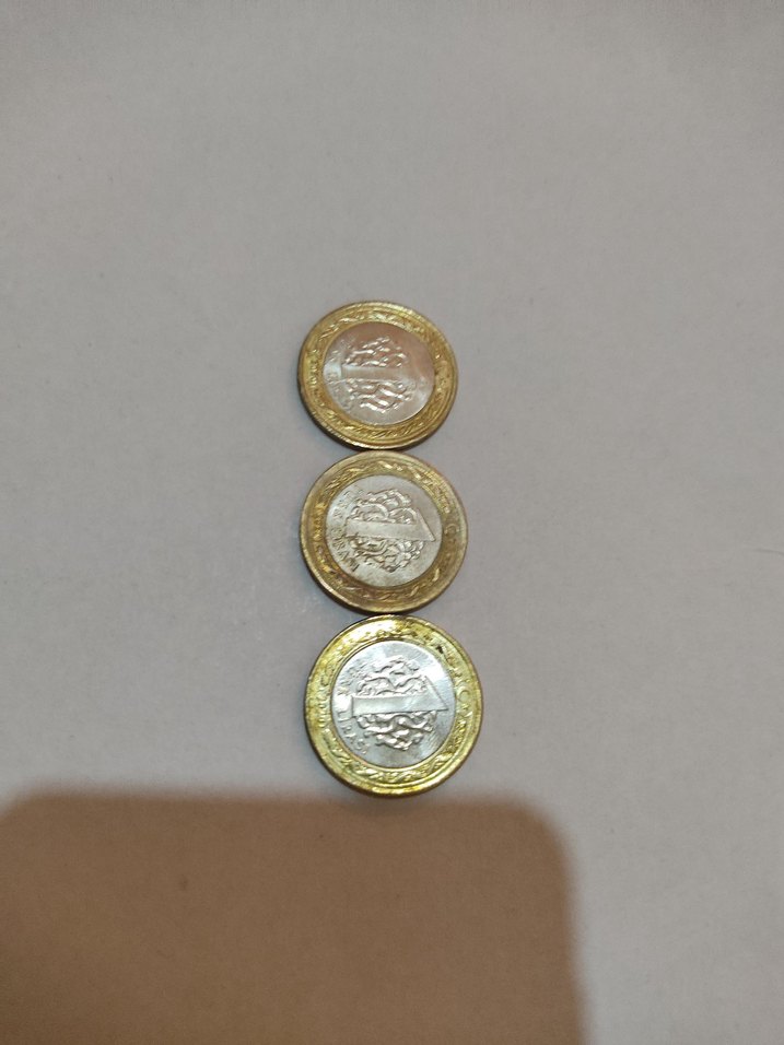 Ayasofya ı Kebir Camii madeni para - Görsel 2