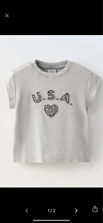 Zara crop