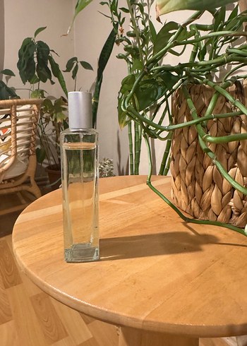 The Body Shop Wild Jasmine Kadın Parfümü 50 ml - Görsel 2