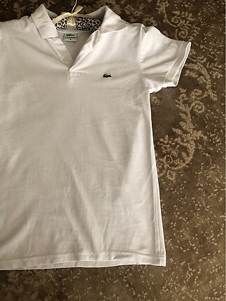 Lacoste beyaz tshirt