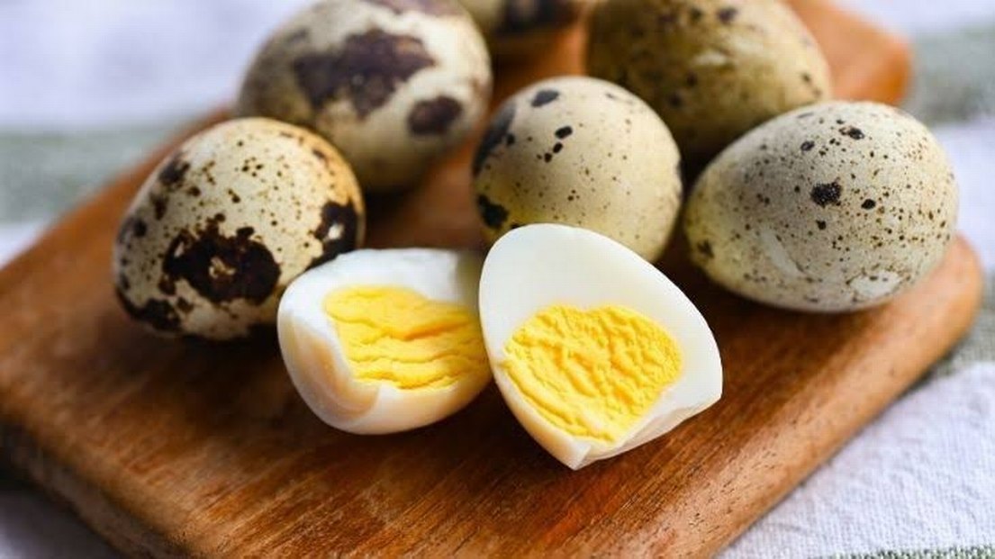 Bıldırcın Yumurtası Organik - Görsel 3