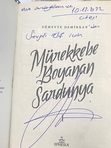 Sümeyye Demirkan Mürekkebe Boyanan Sardunya serisi