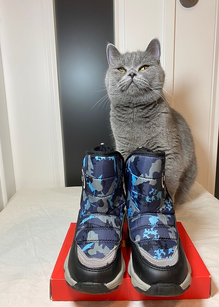 Lumberjack bot - Görsel 2