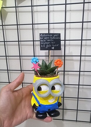 Minion saksı 