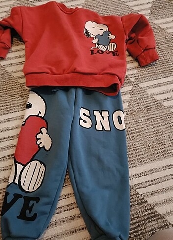 Snoppy takım