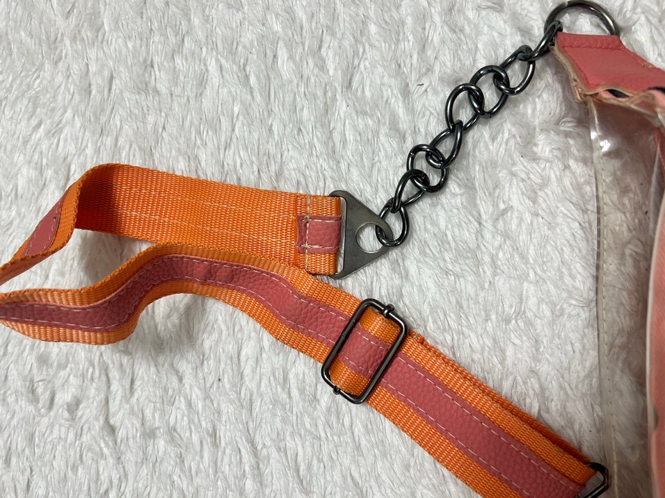 Şeffaf Bel yada Çapraz Çanta - Görsel 4