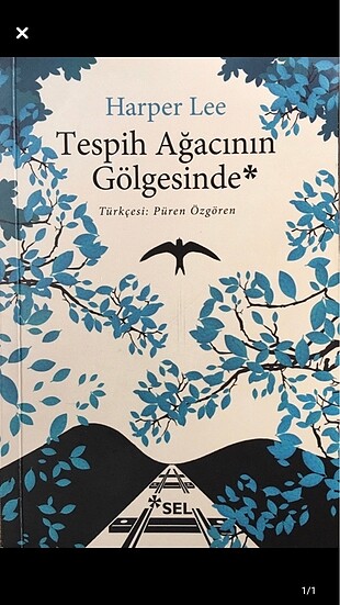 Tespih Ağacının Gölgesinde - Harper Lee